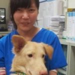 Veterinária comete suicídio após ser obrigada a sacrificar 700 cães